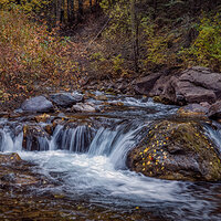 211015-27153-R5.jpg