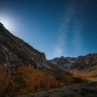 Autumn Moonlight.jpg