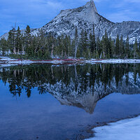 Winter Ambiance at the Cathedral.jpg