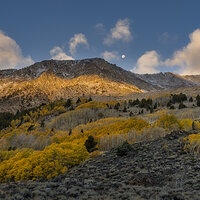 The Moon Sets on Autumn.jpg