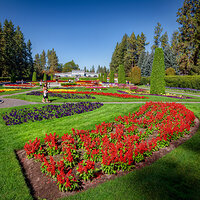 100929_mk3_1606.jpg
