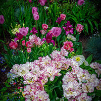 150502-1570-EOSM.jpg