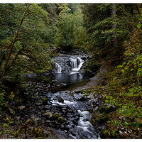 Sweet Creek