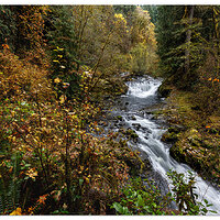 Sweet Creek