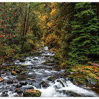 Annice Falls