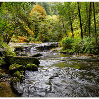 Sweet Creek