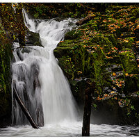 Sweet Creek Falls