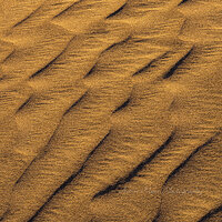 Sand Ripples.jpg