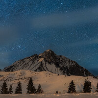 Morrison by Moonlight.jpg