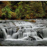 Above Elk Wallow Falls