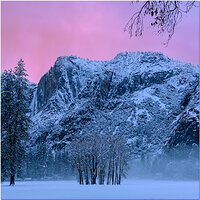 Yosemite Valley Floor