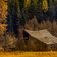 220112-27350-R5.jpg