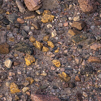 Desert Gold.jpg