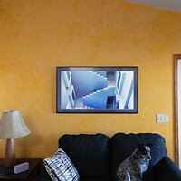 LRCC_sRGB_FW_TAP_9425.jpg