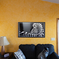 LRCC_sRGB_FW_TAP_9426.jpg