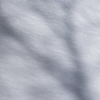 Aspen in Snow.jpg