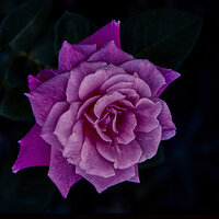 220204-27520-R5.jpg