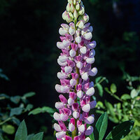 220204-27522-R5.jpg