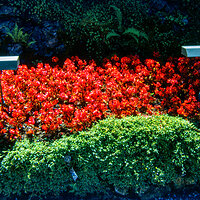 220204-27524-R5.jpg