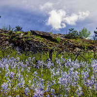 81 ju l 220207-27565-R5.jpg