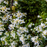 88 oct K25 220207-27558-R5.jpg