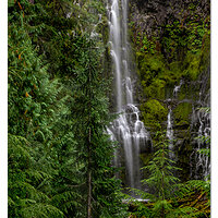 Proxy Falls
