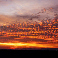 81 220211-27586-R5.jpg