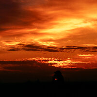 81 nov k64 220211-27587-R5.jpg