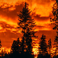 82 mar k 25 220207-27556-R5 - Copy.jpg