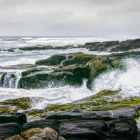 91 apr k64 220211-27591-R5.jpg