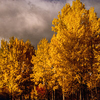 82 oct k25 220213-27615-R5.jpg