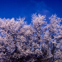 83 feb k64 20213-27618-R5.jpg