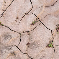Life in the Cracks.jpg