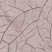Feather Cracks.jpg