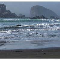 Foggy Afternoon at the Beach