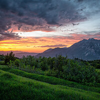 140610-7554-5dm3.jpg