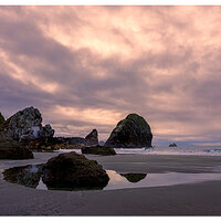 Harris Beach Sunrise