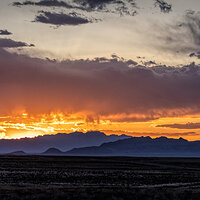 220325-583-R5.jpg