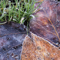 A Touch of Winter on Spring and Fall.jpg