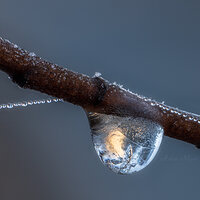 Frozen Light.jpg