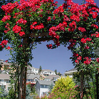 DSCN1330.jpg