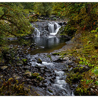 Sweet Creek Rapids