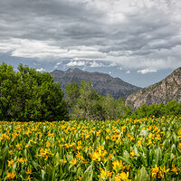 130619-2990-5dm3.jpg