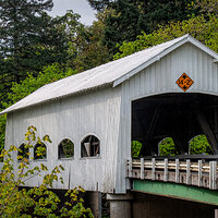 CRW_1521.jpg