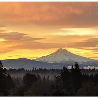 M3AH-MtHood.jpg