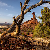 220420-1184-R5.jpg