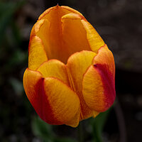 220426-1351-R5.jpg