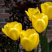 220426-1344-R5.jpg
