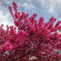 220506-1363-R5.jpg