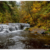 Sweet Creek
